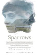 sparrows-564331435-large